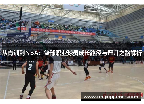 从青训到NBA：篮球职业球员成长路径与晋升之路解析