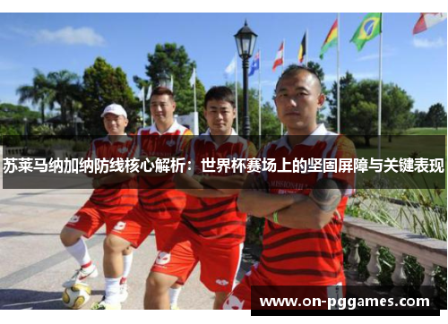 苏莱马纳加纳防线核心解析：世界杯赛场上的坚固屏障与关键表现