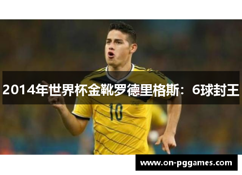 2014年世界杯金靴罗德里格斯：6球封王