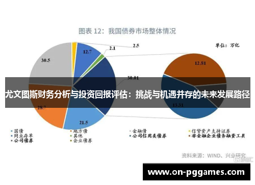 尤文图斯财务分析与投资回报评估：挑战与机遇并存的未来发展路径