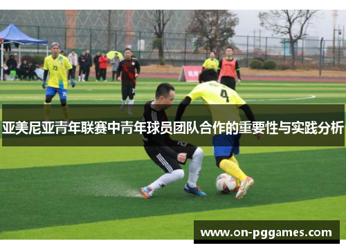 亚美尼亚青年联赛中青年球员团队合作的重要性与实践分析
