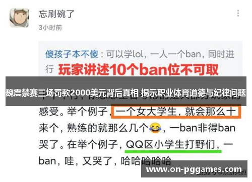 魏震禁赛三场罚款2000美元背后真相 揭示职业体育道德与纪律问题