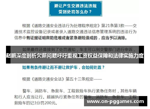赵鹏深度剖析欠薪问题呼吁重视工资权益保障和法律实施力度