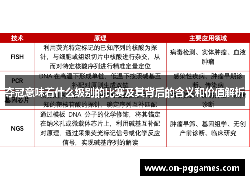 夺冠意味着什么级别的比赛及其背后的含义和价值解析