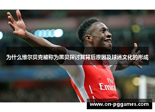 为什么维尔贝克被称为黑贝探讨其背后原因及球迷文化的形成 为什么维尔贝克被称为黑贝探讨其背后原因及球迷文化的形成